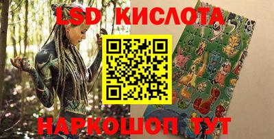 гидропоника Бийск