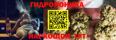 гидропоника Бийск