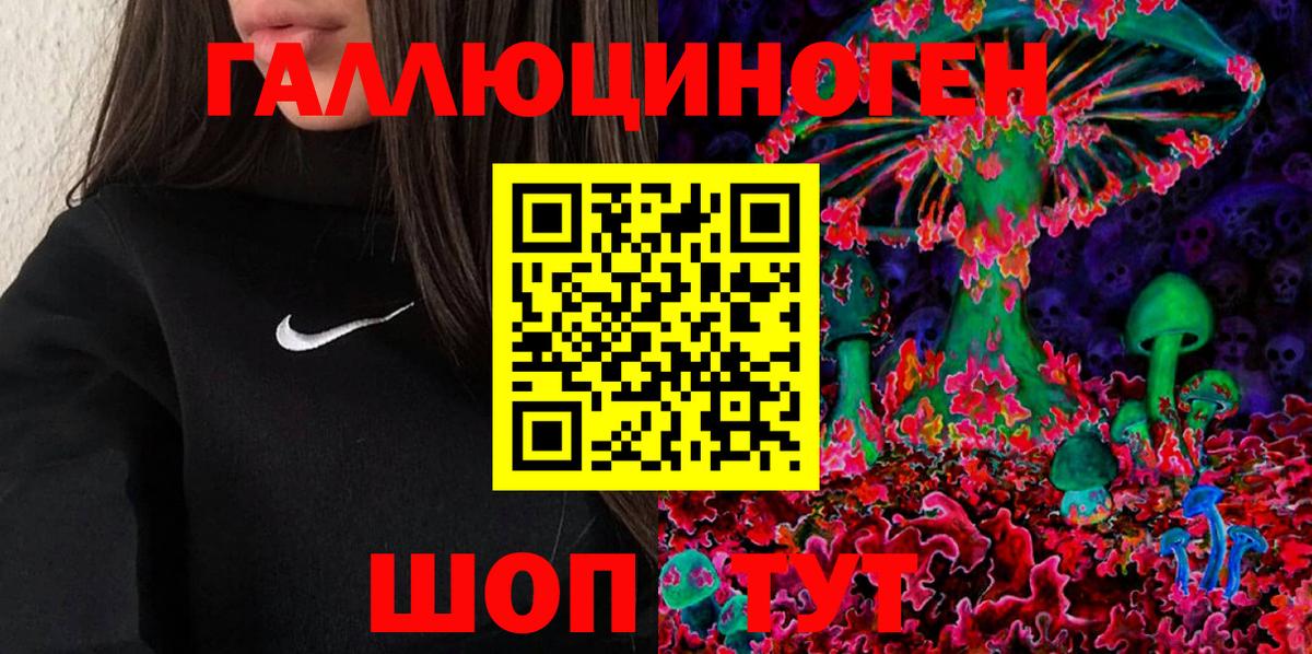 Зима  Галлюциногенные грибы Psilocybe  Вход с VPN 