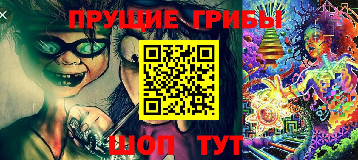 Галлюциногенные грибы мицелий Зима